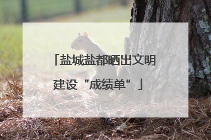 盐城盐都晒出文明建设“成绩单”
