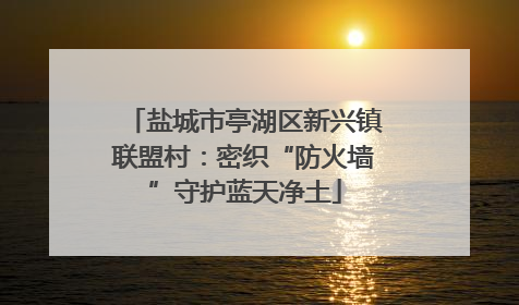 盐城市亭湖区新兴镇联盟村：密织“防火墙”守护蓝天净土