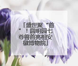 盛世聚“首”！圆明园七尊兽首亮相安徽博物院