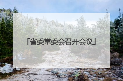 省委常委会召开会议