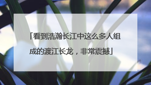 看到浩瀚长江中这么多人组成的渡江长龙，非常震撼