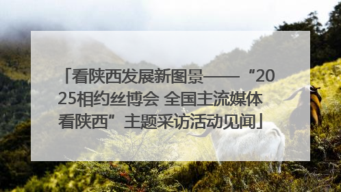 看陕西发展新图景——“2025相约丝博会 全国主流媒体看陕西”主题采访活动见闻