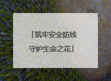 筑牢安全防线 守护生命之花