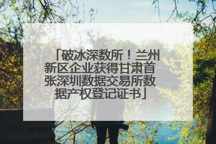 破冰深数所！兰州新区企业获得甘肃首张深圳数据交易所数据产权登记证书