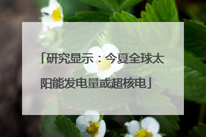 研究显示：今夏全球太阳能发电量或超核电