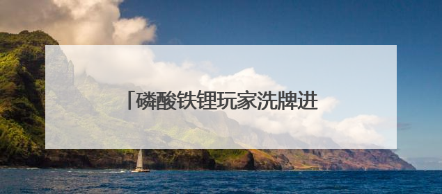 磷酸铁锂玩家洗牌进行时？头部企业大单频传，另一边撤退潮涌