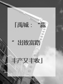 禹城：“蒜”出致富路 丰产又丰收