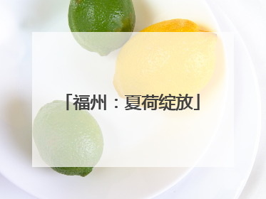 福州：夏荷绽放