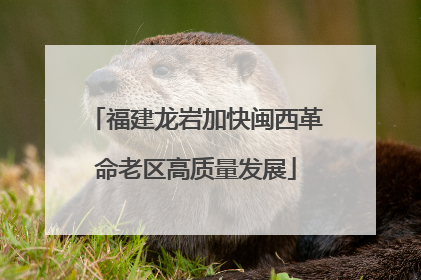 福建龙岩加快闽西革命老区高质量发展