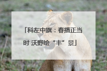 科左中旗：春播正当时 沃野绘“丰”景
