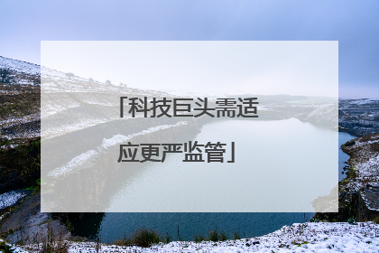 科技巨头需适应更严监管