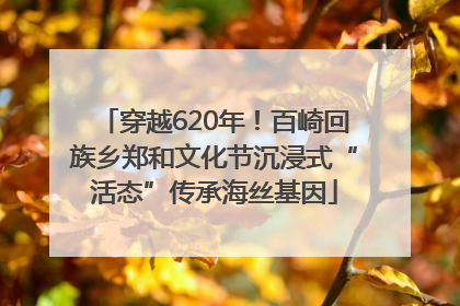 穿越620年！百崎回族乡郑和文化节沉浸式“活态”传承海丝基因
