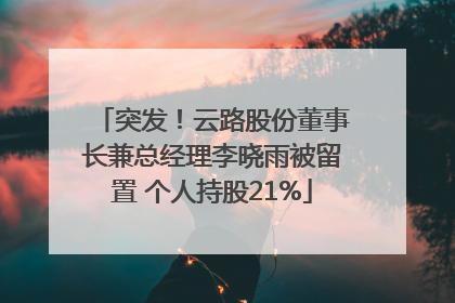 突发！云路股份董事长兼总经理李晓雨被留置 个人持股21%