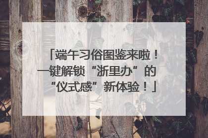 端午习俗图鉴来啦！一键解锁“浙里办”的“仪式感”新体验！
