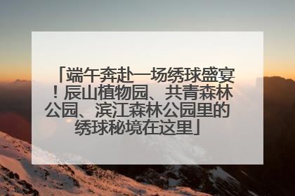 端午奔赴一场绣球盛宴！辰山植物园、共青森林公园、滨江森林公园里的绣球秘境在这里