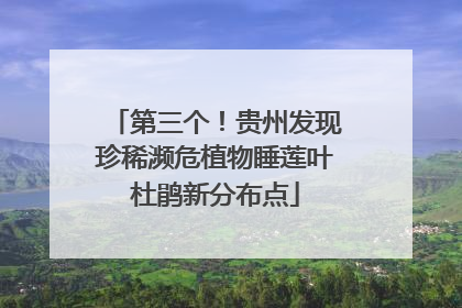 第三个！贵州发现珍稀濒危植物睡莲叶杜鹃新分布点