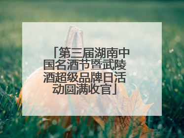 第三届湖南中国名酒节暨武陵酒超级品牌日活动圆满收官