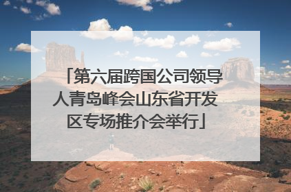 第六届跨国公司领导人青岛峰会山东省开发区专场推介会举行