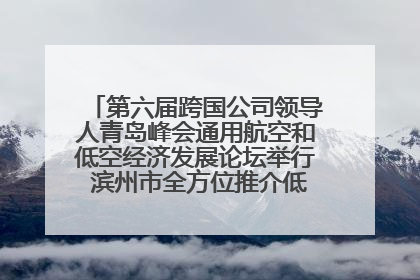 第六届跨国公司领导人青岛峰会通用航空和低空经济发展论坛举行 滨州市全方位推介低空经济发展优势