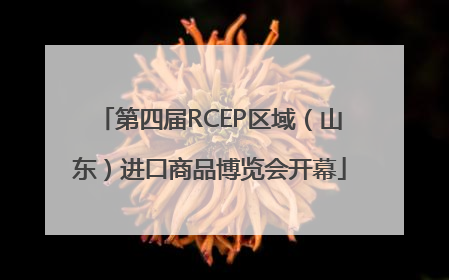 第四届RCEP区域（山东）进口商品博览会开幕