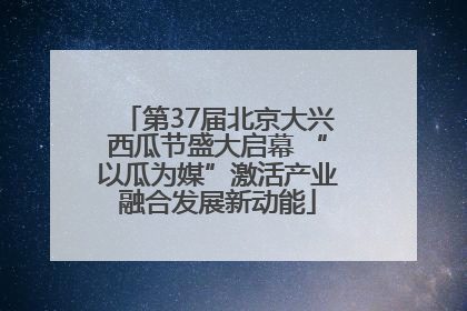 第37届北京大兴西瓜节盛大启幕 “以瓜为媒”激活产业融合发展新动能
