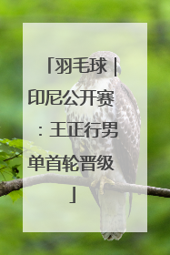 羽毛球｜印尼公开赛：王正行男单首轮晋级