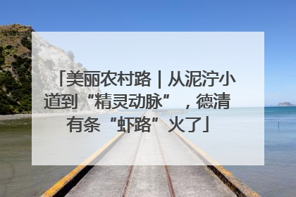 美丽农村路｜从泥泞小道到“精灵动脉”，德清有条“虾路”火了