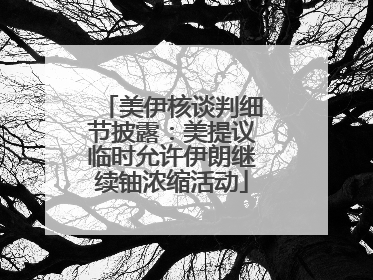 美伊核谈判细节披露：美提议临时允许伊朗继续铀浓缩活动