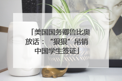 美国国务卿鲁比奥放话：“狠狠”吊销中国学生签证