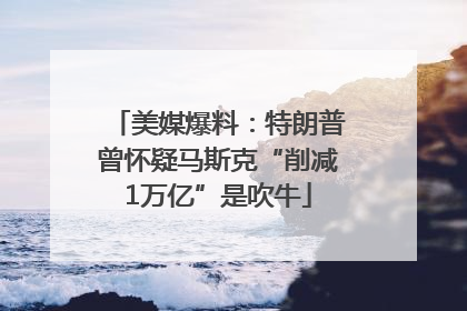 美媒爆料：特朗普曾怀疑马斯克“削减1万亿”是吹牛