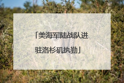 美海军陆战队进驻洛杉矶执勤