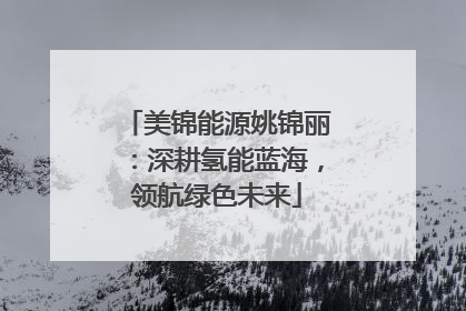 美锦能源姚锦丽：深耕氢能蓝海，领航绿色未来
