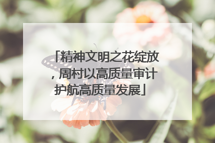 精神文明之花绽放，周村以高质量审计护航高质量发展