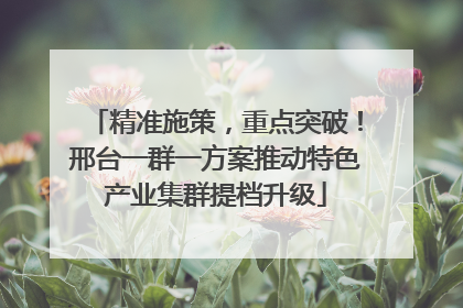 精准施策，重点突破！邢台一群一方案推动特色产业集群提档升级