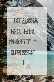 红荔缀满枝头 村民增收有了“甜蜜密码”