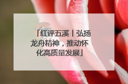 红评五溪丨弘扬龙舟精神，推动怀化高质量发展