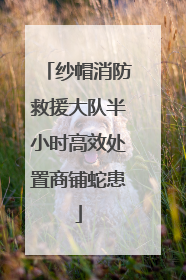 纱帽消防救援大队半小时高效处置商铺蛇患