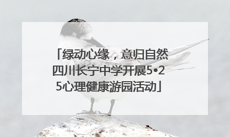 绿动心缘，意归自然 四川长宁中学开展5•25心理健康游园活动