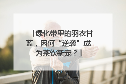 绿化带里的羽衣甘蓝，因何“逆袭”成为茶饮新宠？