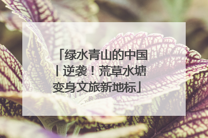 绿水青山的中国丨逆袭！荒草水塘变身文旅新地标