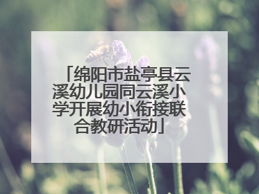 绵阳市盐亭县云溪幼儿园同云溪小学开展幼小衔接联合教研活动