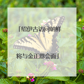 绍伊古访问朝鲜 将与金正恩会面
