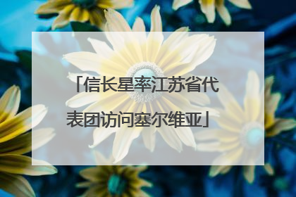 信长星率江苏省代表团访问塞尔维亚
