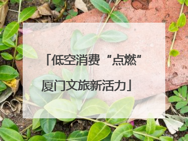 低空消费“点燃”厦门文旅新活力