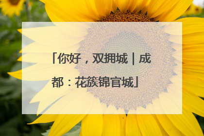 你好，双拥城｜成都：花簇锦官城