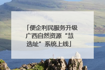 便企利民服务升级 广西自然资源“慧选址”系统上线