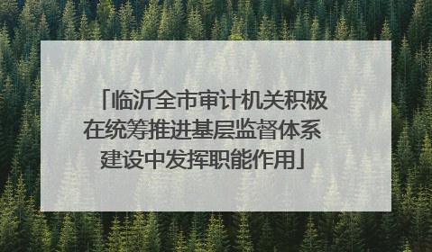 临沂全市审计机关积极在统筹推进基层监督体系建设中发挥职能作用