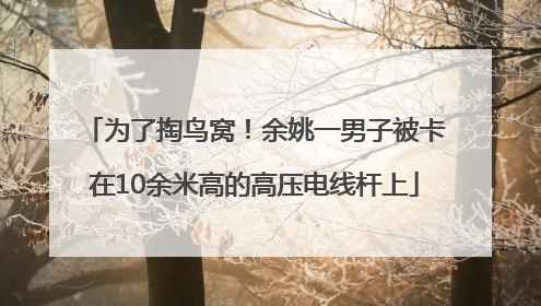 为了掏鸟窝！余姚一男子被卡在10余米高的高压电线杆上