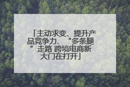 主动求变、提升产品竞争力、“多条腿”走路 跨境电商新大门在打开