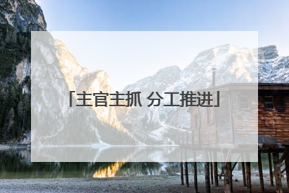 主官主抓 分工推进